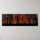 Search for panoramic posters Trees