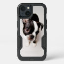 Search for boston terrier iphone cases Pets