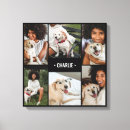 Search for pet collage canvas prints Trendy