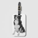 Search for australian shepherd gifts Cute