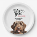 Search for griffon dog breed Wirehaired pointing griffon
