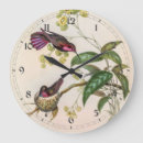 Search for hummingbirds clocks Botanical