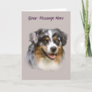 Search for australian shepherd cards Aussie