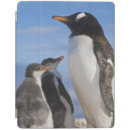 Search for penguin ipad cases Wildlife
