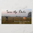 Search for longhorn invitations Rustic