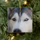 Search for alaskan malamute ornaments Snow dog