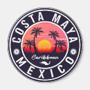 Search for mexico souvenir magnets Caribbean