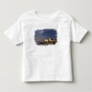 Search for seattle tshirts Puget sound