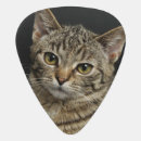 Search for unique guitar picks Guitarist