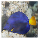 Search for ocean life tiles Diving