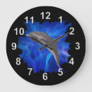 Search for dolphin clocks Mammal