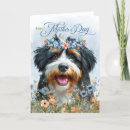 Search for bernedoodle cards Dog lover