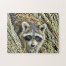 Search for raccoon puzzles Adorable