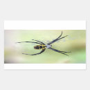 Search for black widow spider stickers Insect