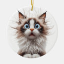Search for ragdoll cat ornaments Funny