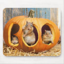 Search for halloween mousepads Animals