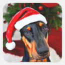 Search for doberman stickers Funny