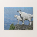 Search for goat puzzles Mountain goats