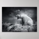 Search for wallpaper posters Big