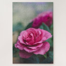 Search for rose puzzles Nature