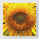 Search for yellow clocks Orange