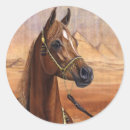 Search for arabic stickers Arabian