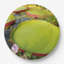 Search for lily pad plates Pond