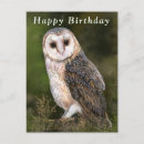 Search for owl birthday cards Bird