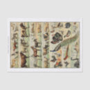 Search for goat tissue paper Pig