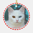 Search for black and white cat ornaments Red