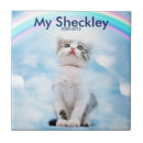 Search for memorial tiles Cat