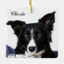 Search for border collie gifts Herding