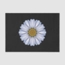 Search for transparent tissue paper White