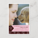 Search for new pet invitations Kitten