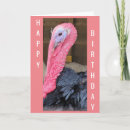 Search for turkey birthday cards Photography