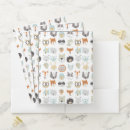 Search for animal folders Bear