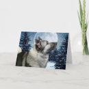 Search for norwegian elkhound Pets