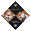 Search for dog graduation cap toppers Animal