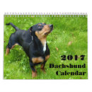 Search for dachshund calendars Puppy