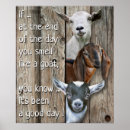 Search for old barn posters Rustic