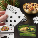 Search for floating playing cards Cute