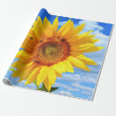 Search for sunflower wrapping paper Summer