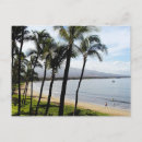 Search for palm beach postcards Maui