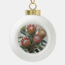 Search for south africa ornaments African