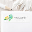 Search for sea turtle return address labels Fish