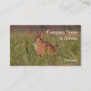 Search for rabbit business cards Animal