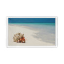 Search for seashell serving trays Photography
