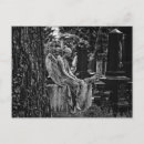 Search for death condolence postcards Graveyard