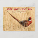 Search for south dakota postcards Bird