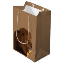 Search for lion gift bags Big cat